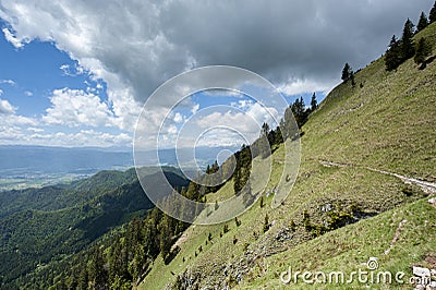 Narrow path on the grassy slope of BegunjÅ¡Äica Stock Photo